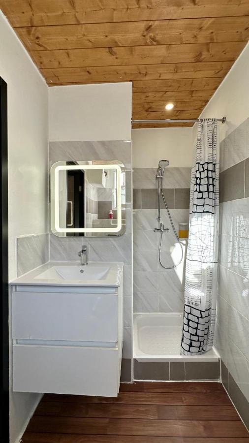 Lion'S Room - 2 Minute Walk From Palais Des Festivals And Beaches Cannes Exteriér fotografie